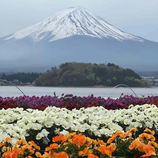 Mount Fuji Private day tour from Tokyo private & Customized - Pickup, delays, and the small details that matter