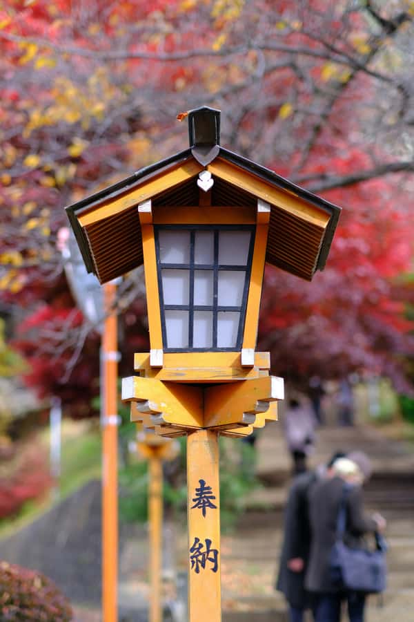 Mount Fuji Private Day Trip With Customizable Itinerary - Ropeway or Lake Ashi cruise