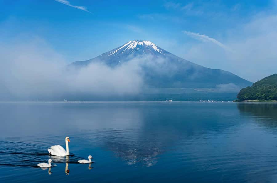 Mount Fuji Private Day Trip With Customizable Itinerary - What the $505 group price really buys