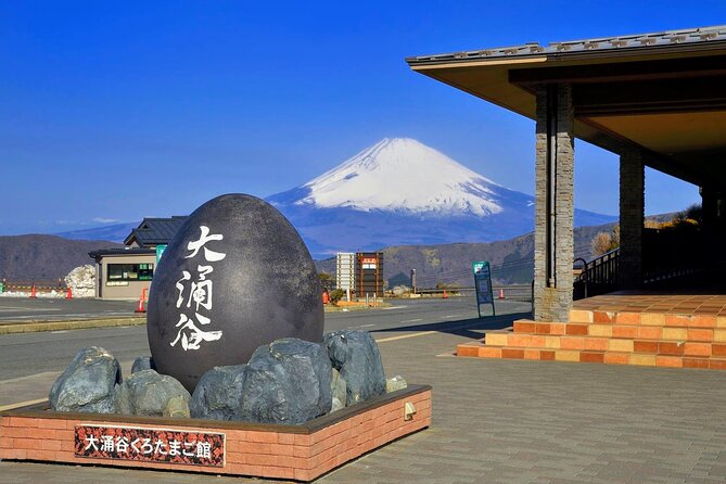 Mt Fuji and Hakone 1-Day Bus Tour Return by Bus - Hakone Ropeway and the mountain views