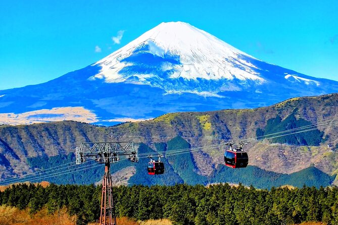 Mt Fuji and Hakone 1-Day Bus Tour Return by Bus - The return to Tokyo is the detail you must understand
