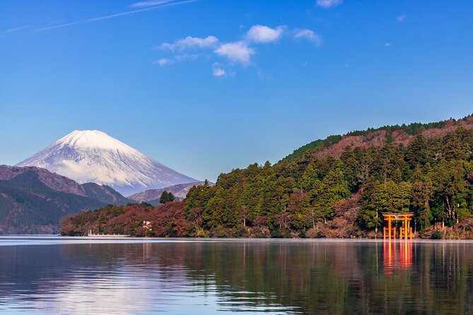 Mt. Fuji and Hakone Day Trip From Tokyo with Bullet Train Option - Returning by coach or bullet train