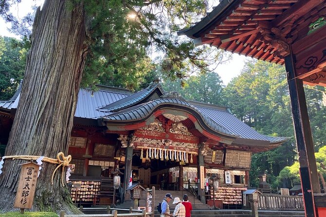 Mt Fuji Area: In-depth Guided Adventure in English or French - Walking into Aokigahara Forest