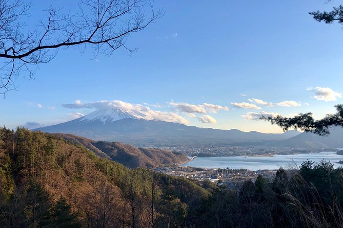 Mt Fuji Area Private Guided Tours in English-Nature up close, quiet, personal - A quieter way to see Mt. Fuji