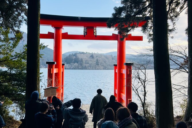 Mt. Fuji, Cherry Blossom & Shiba Sakura Pvt. Day Tour - Why a private Mt. Fuji day from Tokyo makes sense