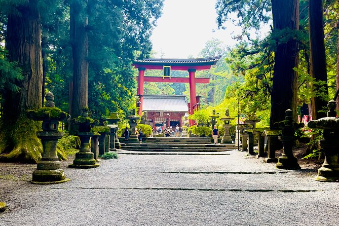 Mt. Fuji, Cherry Blossom & Shiba Sakura Pvt. Day Tour - Lake Kawaguchiko for boats, ropeway views, and lunch