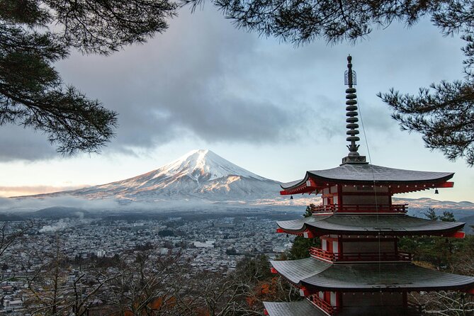 Mt FUJI Day Tour with Private Car and English Speaking Guide - Key things to know before you book