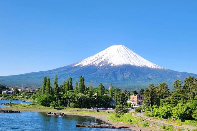 Mt FUJI Day Tour with Private Car and English Speaking Guide - Why a private car makes the Fuji day easier