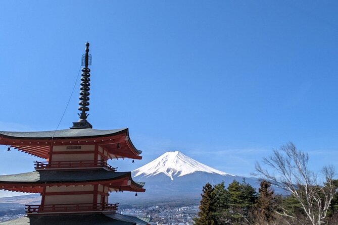 Mt. Fuji Day Trip from Tokyo with English Speaking Driver Guide - Why a private Mt. Fuji day can make sense