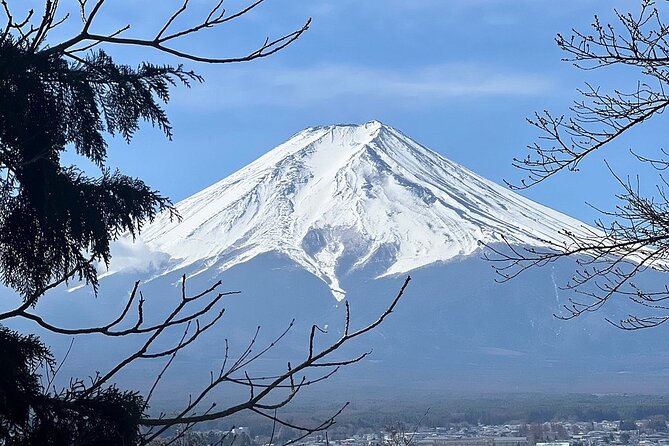 Mt. Fuji Day Trip from Tokyo with English Speaking Driver Guide - Oishi Park pairs flowers, lake, and mountain