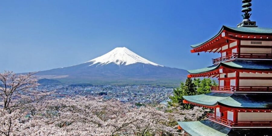 Mt. Fuji Drive Tour (Includes Visit to Local Speedway) - Guides, language, and the private format