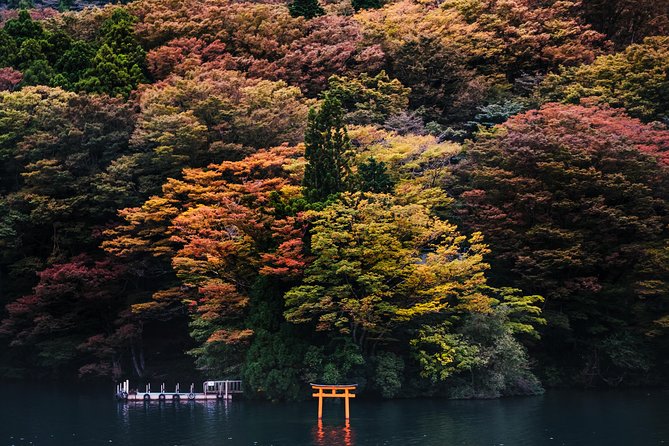 Mt Fuji & Hakone Cruise, Drum Show Bullet Train 1 Day from Tokyo - Returning to Tokyo on a Kodama Shinkansen
