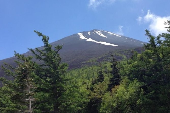 Mt Fuji & Hakone Cruise, Drum Show Bus 1 Day from Tokyo - Is the $122.55 price fair?