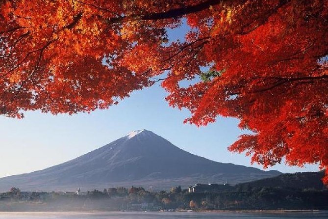 Mt Fuji & Hakone Cruise, Drum Show Bus 1 Day from Tokyo - Who should choose this Fuji and Hakone day?