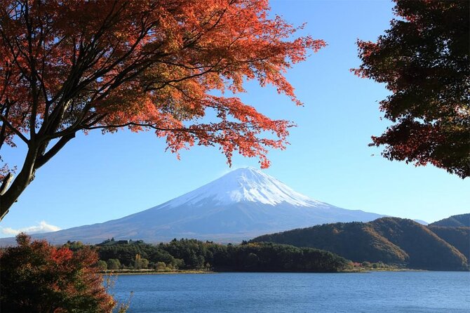 Mt Fuji & Hakone Cruise, Drum Show Bus 1 Day from Tokyo Sta. Area - Why this 12-hour Fuji and Hakone day works