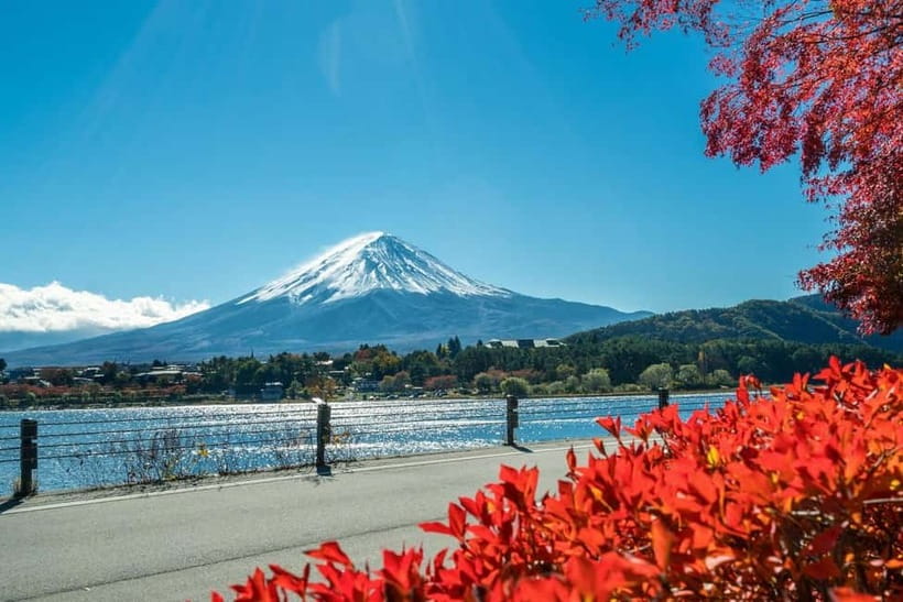Mt.Fuji Hakone Day Tour With Lake Ashi Cruise, FREE Ropeway - Lake Yamanaka and the swan photos