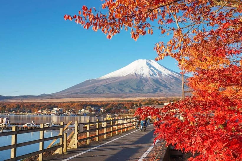 Mt Fuji Hakone/Enoshima Tour:Optional Ropeway/Lake Ashi Boat - What this $53 day trip really covers