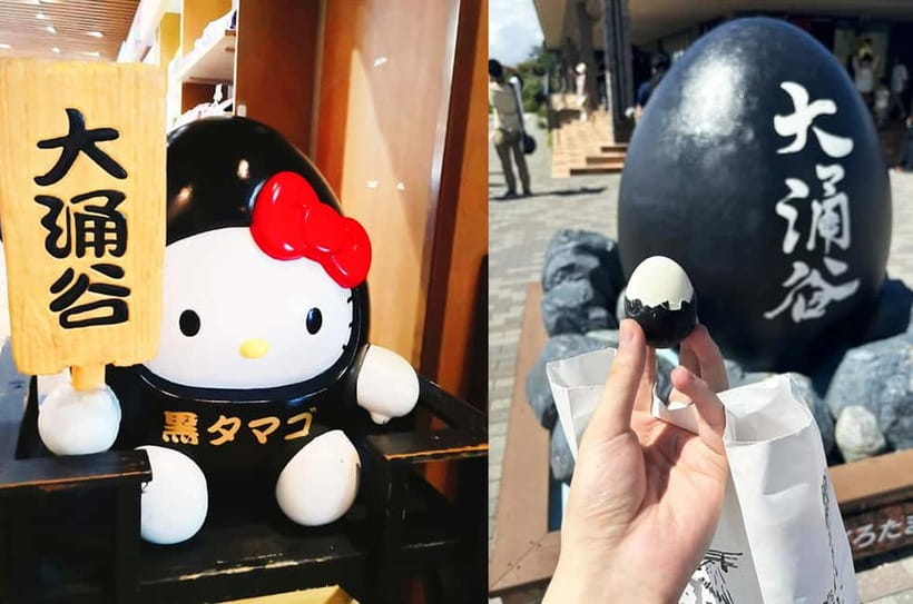 Mt Fuji Hakone/Enoshima Tour:Optional Ropeway/Lake Ashi Boat - Bus time, group comfort, and practical limits