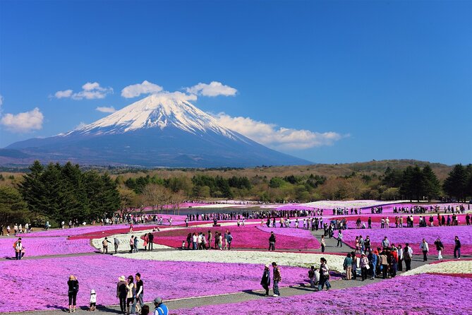 Mt. Fuji, Hakone Full-Day Private Tour with English Driver Guide - What this private Mt. Fuji and Hakone day is really like