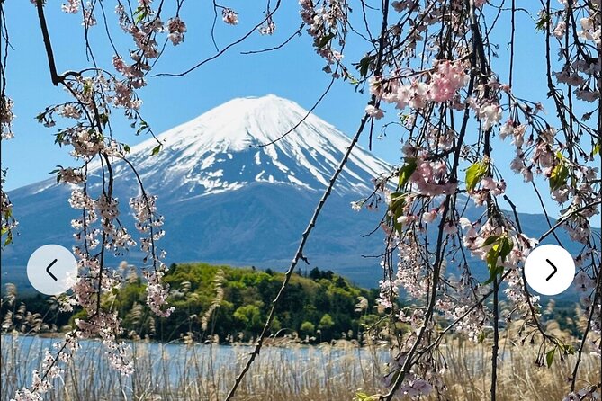 Mt. Fuji, Hakone Full-Day Private Tour with English Driver Guide - Oshino Hakkai and Saiko Iyashi no Sato Nenba