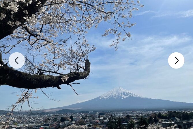 Mt. Fuji, Hakone Full-Day Private Tour with English Driver Guide - Arakurayama Sengen Park and Chureito Pagoda