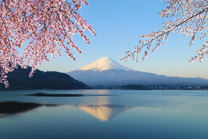 Mt. Fuji & Hakone Private Day Tour with English-Speaking Driver - Key points before you reserve