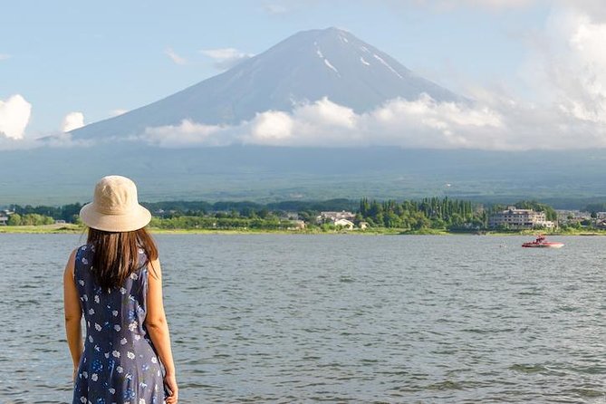 Mt. Fuji & Hakone Private Day Tour with English-Speaking Driver - Shopping, art, and optional detours