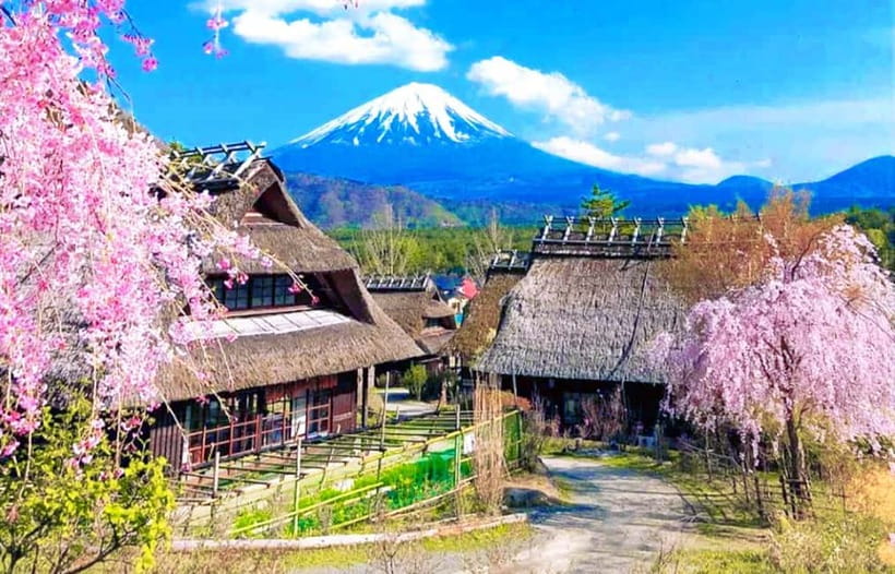 Mt. Fuji Heritage Tour: Traditional Villages, Lakes & Shrine - Key points to know before booking