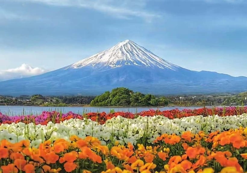 Mt. Fuji Heritage Tour: Traditional Villages, Lakes & Shrine - Arakurayama Sengen Park and the climb to Chureito