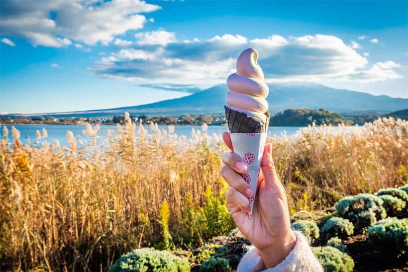 Mt. Fuji Heritage Tour: Traditional Villages, Lakes & Shrine - Lunch, timing, and the real value of $50
