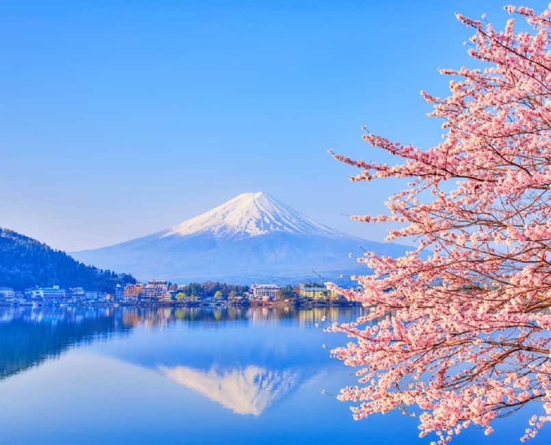 Mt. Fuji & Lake Kawaguchiko Ropeway Panorama Full-Day Tour - Key points at a glance