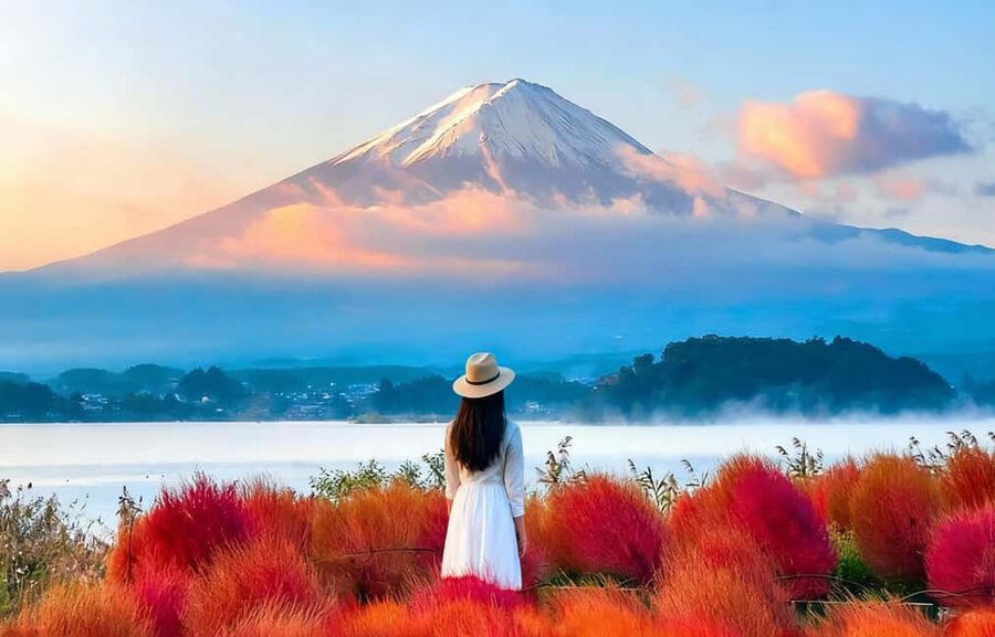 Mt. Fuji & Lake Kawaguchiko Ropeway Panorama Full-Day Tour - A quiet matcha lesson beside Lake Kawaguchiko