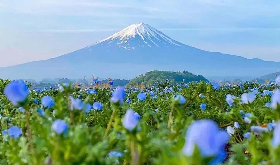 Mt. Fuji & Lake Kawaguchiko Ropeway Panorama Full-Day Tour - The Kachikachi Ropeway and its high view