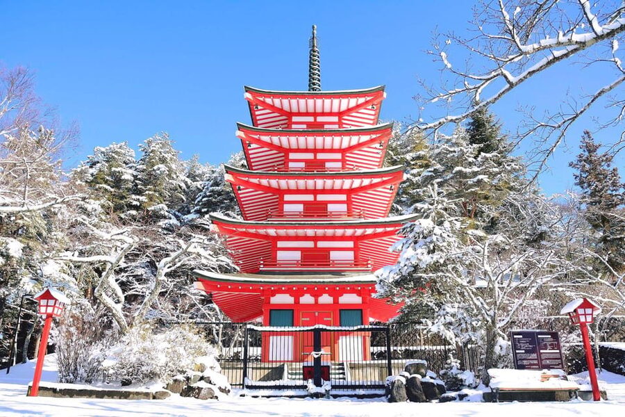 MT.Fuji: Mount Fuji Private day Tour With Guide - Saiko Iyashi-no-Sato Nenba: an Edo-style village by Lake Saiko