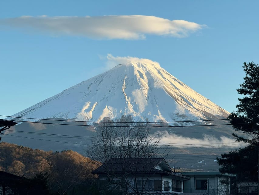 MT.Fuji: Mount Fuji Private day Tour With Guide - Chureito Pagoda and the famous Fuji photograph