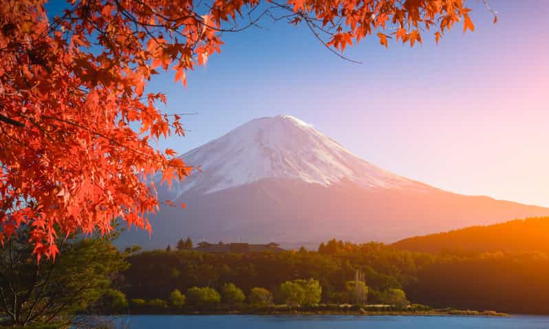 MT.Fuji: Mount Fuji Private day Tour With Guide - Kitaguchi-hongu Fuji Sengen Shrine: cedar trees and quiet space
