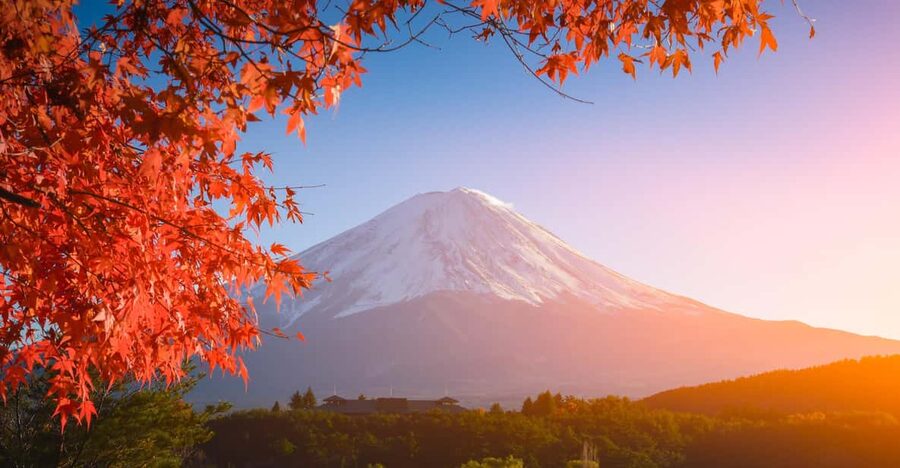 MT.Fuji: Mount Fuji Private day Tour With Guide - Oishi Park: Fuji, flowers, and a sweet break