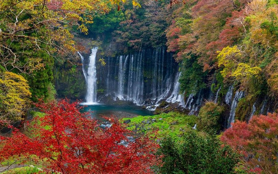 Mt Fuji : Private 10-Hour Luxury Tour by Exclusive Car - Leaving Tokyo in a Toyota Alphard