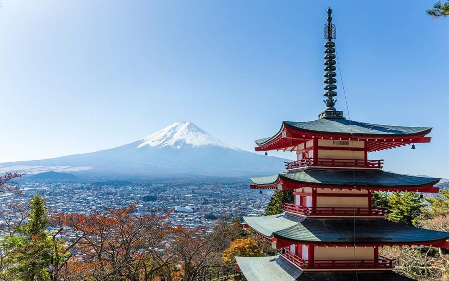 Mt Fuji : Private 10-Hour Luxury Tour by Exclusive Car - What the driver adds, and what may be missing