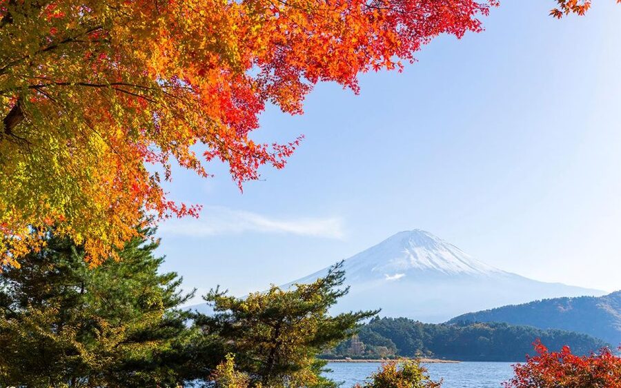 Mt Fuji : Private 10-Hour Luxury Tour by Exclusive Car - Should you book it?