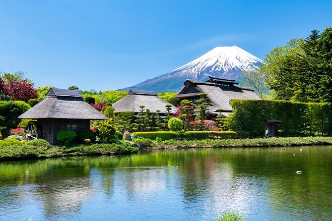 Mt Fuji Private Tour with English Speaking Driver - The optional Mt Fuji Panoramic Ropeway