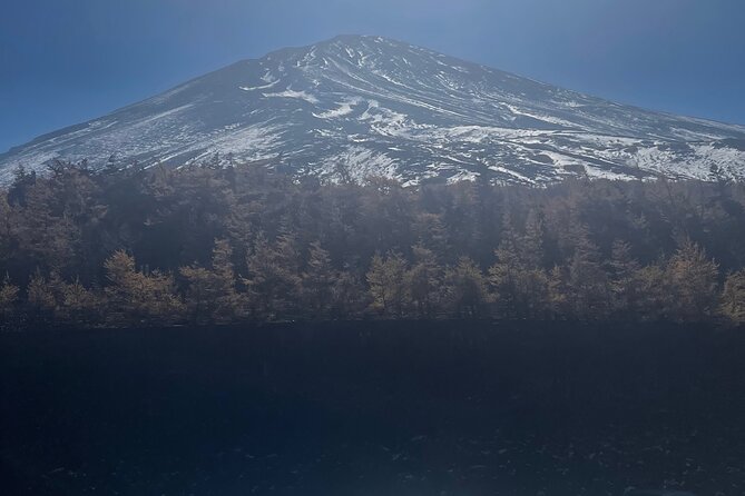 Mt Fuji Private Tour with English Speaking Driver - Fuji-Honcho Main Street and the famous street view