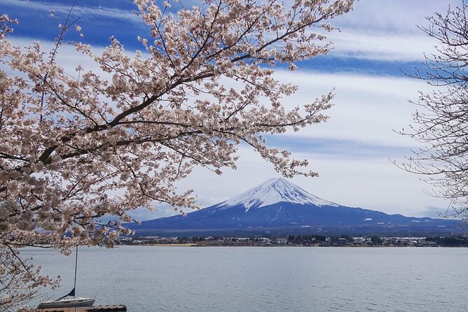 Mt Fuji Private Tour with English Speaking Driver - Oshino Hakkai’s eight ponds