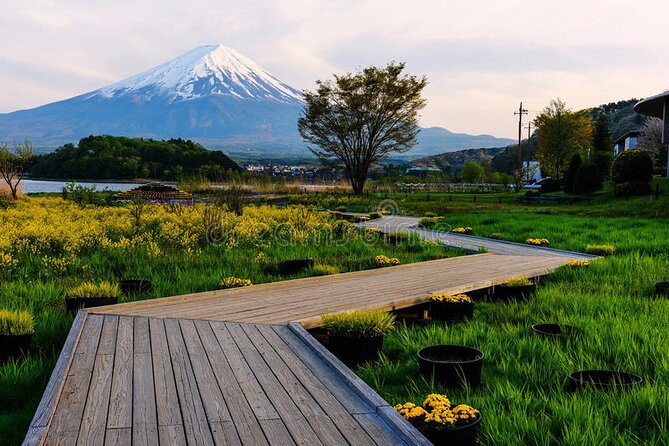 Mt Fuji Private Tour with English Speaking Driver - What the driver adds to the day