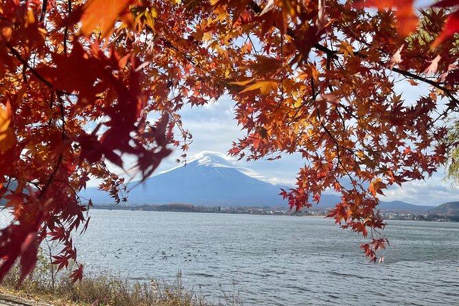 Mt Fuji Private Tour with English Speaking Driver - Lake Kawaguchiko and Oishi Park