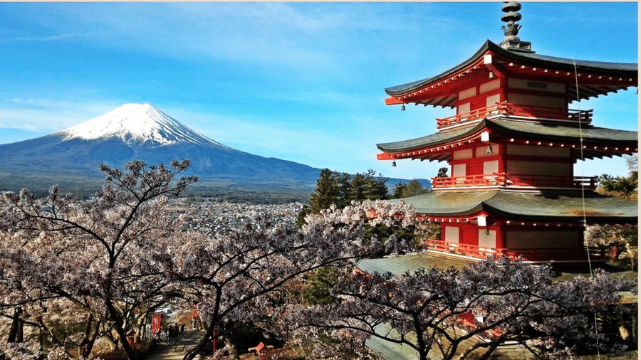 Mt Fuji Sightseeing Private tour with English Speaking Guide - Lake Kawaguchi and Oishi Park: the classic Fuji photograph