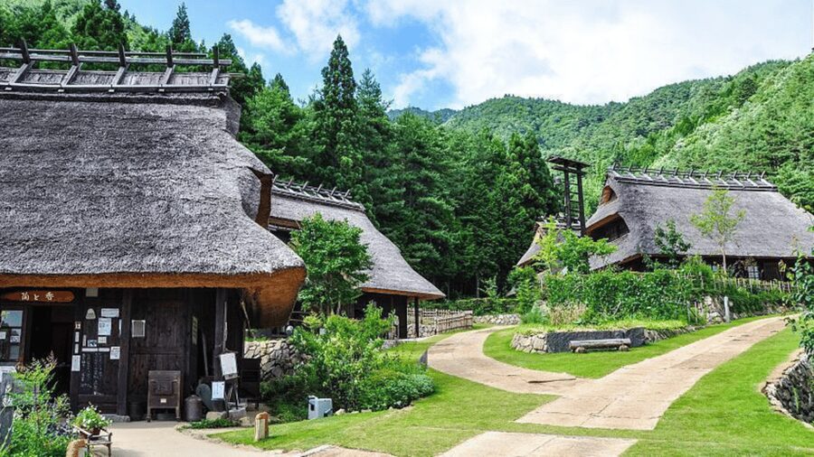 Mt Fuji Sightseeing Private tour with English Speaking Guide - Oshino Hakkai and the Fuji Sengen Shrine