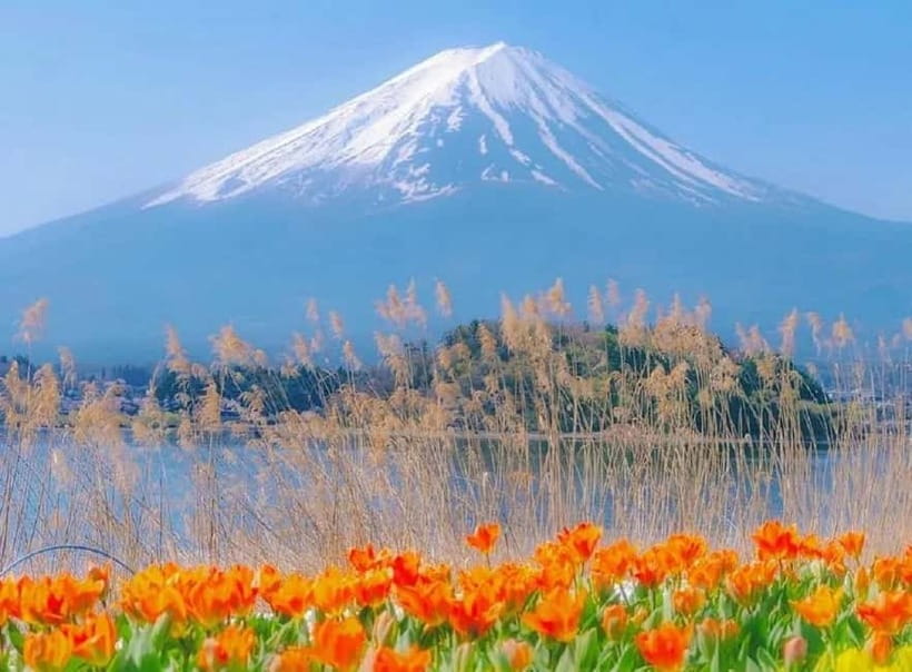 Mt Fuji Top 5 Spots Day Tour: Arakurayama Park,Oshino Hakkai - Key points to know before booking