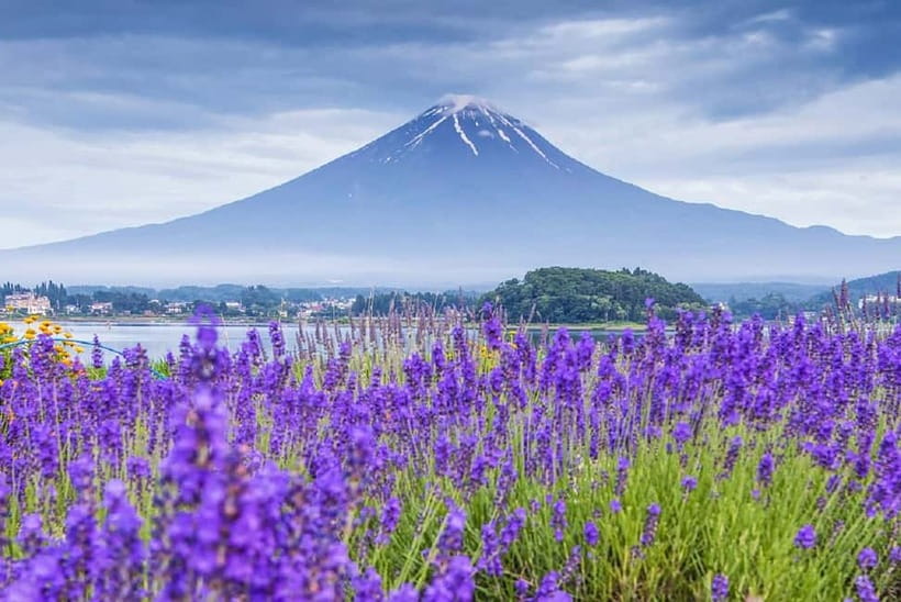 Mt Fuji Top 5 Spots Day Tour: Arakurayama Park,Oshino Hakkai - Why this Tokyo to Fuji day trip works