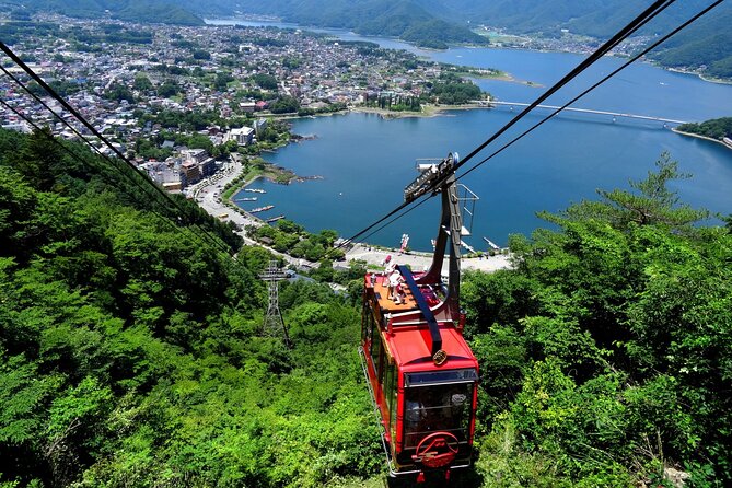 Mt. Fuji Tours with Kawaguchi Lake Ropeway View English Speaking - Oishi Park changes with the season